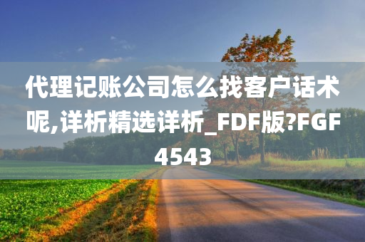 代理记账公司怎么找客户话术呢,详析精选详析_FDF版?FGF4543