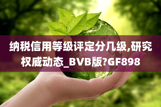 纳税信用等级评定分几级,研究权威动态_BVB版?GF898