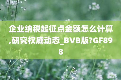 企业纳税起征点金额怎么计算,研究权威动态_BVB版?GF898