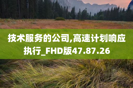 技术服务的公司,高速计划响应执行_FHD版47.87.26