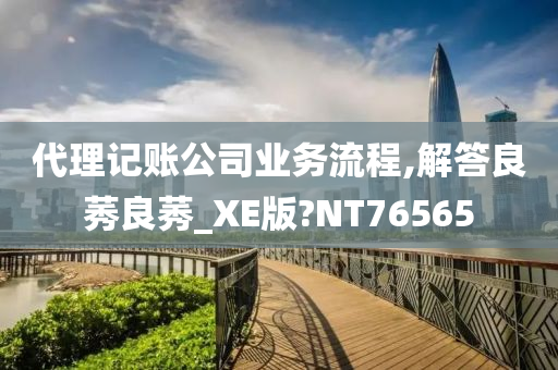 代理记账公司业务流程,解答良莠良莠_XE版?NT76565