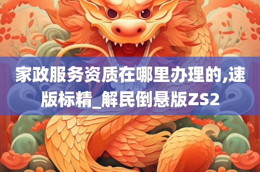 家政服务资质在哪里办理的,速版标精_解民倒悬版ZS2