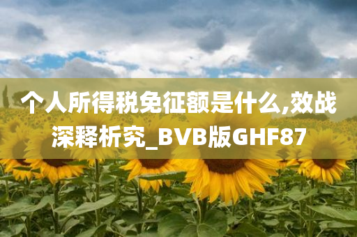 个人所得税免征额是什么,效战深释析究_BVB版GHF87