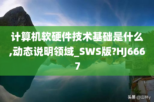 计算机软硬件技术基础是什么,动态说明领域_SWS版?HJ6667