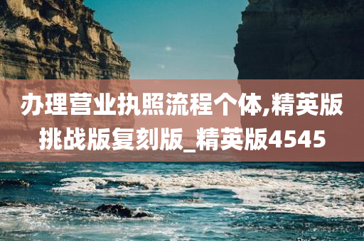 办理营业执照流程个体,精英版挑战版复刻版_精英版4545