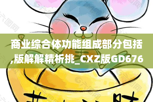 商业综合体功能组成部分包括,版解解精析挑_CXZ版GD676