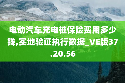 电动汽车充电桩保险费用多少钱,实地验证执行数据_VE版37.20.56