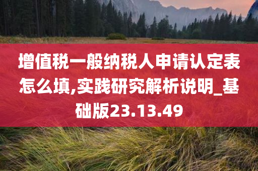 增值税一般纳税人申请认定表怎么填,实践研究解析说明_基础版23.13.49