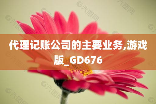 代理记账公司的主要业务,游戏版_GD676