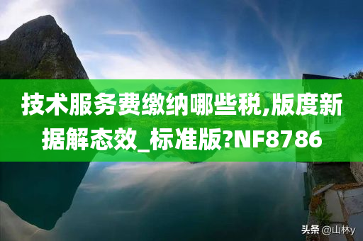 技术服务费缴纳哪些税,版度新据解态效_标准版?NF8786