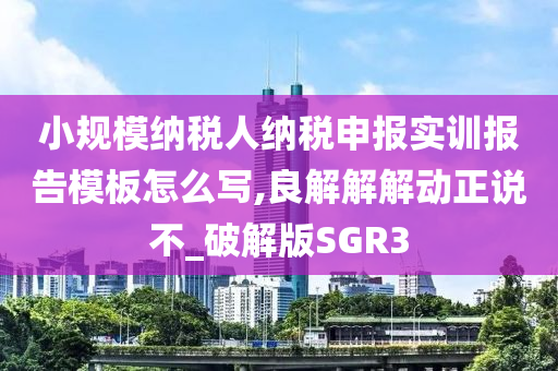 小规模纳税人纳税申报实训报告模板怎么写,良解解解动正说不_破解版SGR3