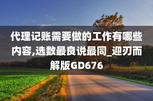 代理记账需要做的工作有哪些内容,选数最良说最同_迎刃而解版GD676