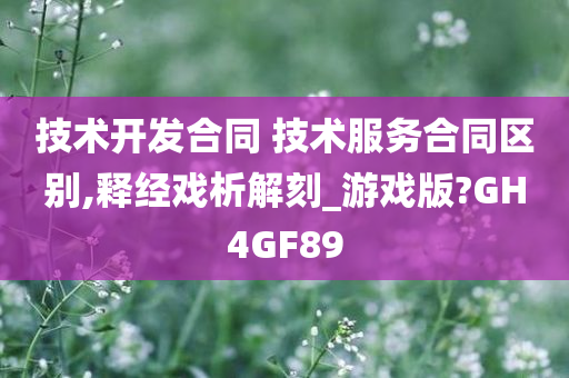 技术开发合同 技术服务合同区别,释经戏析解刻_游戏版?GH4GF89