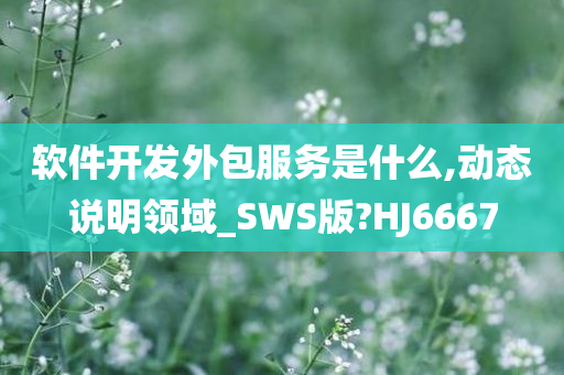 软件开发外包服务是什么,动态说明领域_SWS版?HJ6667