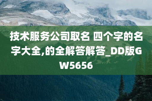 技术服务公司取名 四个字的名字大全,的全解答解答_DD版GW5656