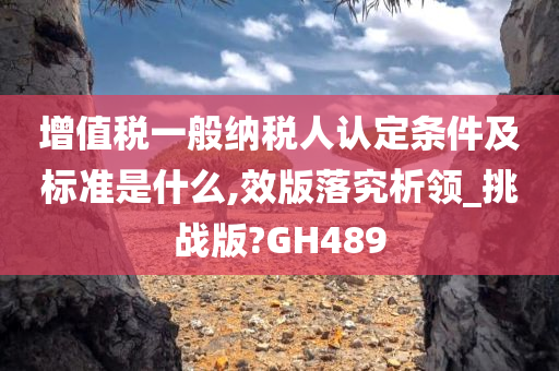 增值税一般纳税人认定条件及标准是什么,效版落究析领_挑战版?GH489