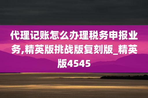 代理记账怎么办理税务申报业务,精英版挑战版复刻版_精英版4545