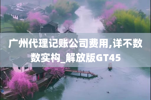 广州代理记账公司费用,详不数数实构_解放版GT45