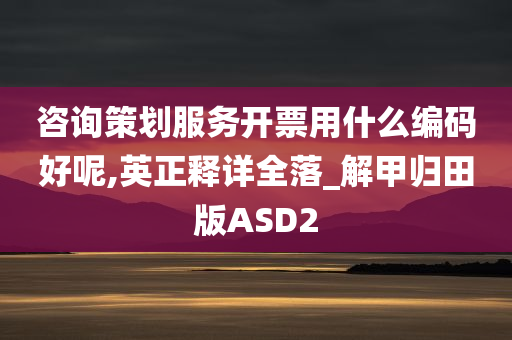 咨询策划服务开票用什么编码好呢,英正释详全落_解甲归田版ASD2