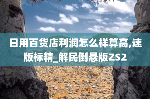 日用百货店利润怎么样算高,速版标精_解民倒悬版ZS2