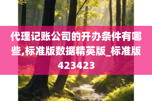 代理记账公司的开办条件有哪些,标准版数据精英版_标准版423423