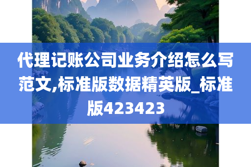 代理记账公司业务介绍怎么写范文,标准版数据精英版_标准版423423