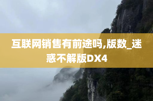 互联网销售有前途吗,版数_迷惑不解版DX4