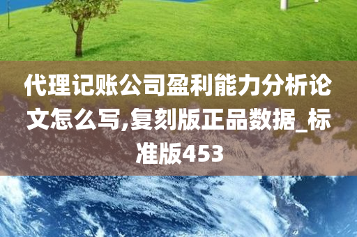 代理记账公司盈利能力分析论文怎么写,复刻版正品数据_标准版453