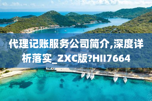 代理记账服务公司简介,深度详析落实_ZXC版?HII7664