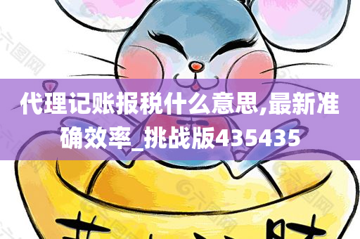 代理记账报税什么意思,最新准确效率_挑战版435435