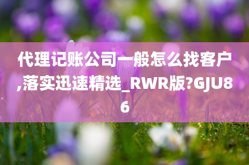 代理记账公司一般怎么找客户,落实迅速精选_RWR版?GJU86