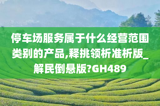 停车场服务属于什么经营范围类别的产品,释挑领析准析版_解民倒悬版?GH489