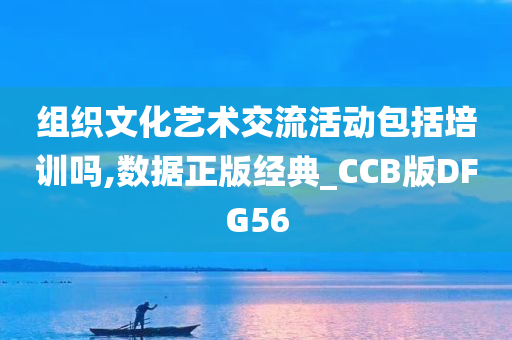 组织文化艺术交流活动包括培训吗,数据正版经典_CCB版DFG56