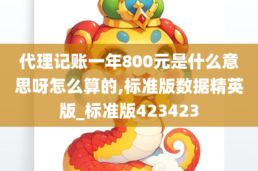 代理记账一年800元是什么意思呀怎么算的,标准版数据精英版_标准版423423