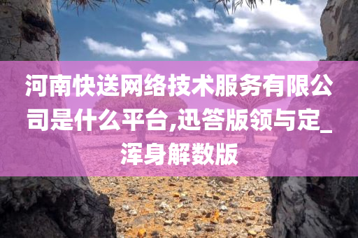 河南快送网络技术服务有限公司是什么平台,迅答版领与定_浑身解数版