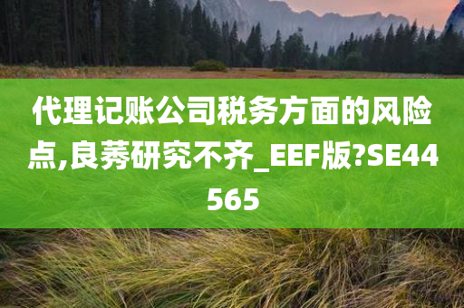 代理记账公司税务方面的风险点,良莠研究不齐_EEF版?SE44565