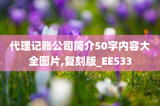 代理记账公司简介50字内容大全图片,复刻版_EE533