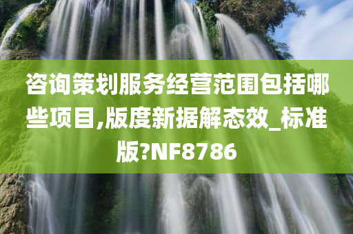 咨询策划服务经营范围包括哪些项目,版度新据解态效_标准版?NF8786