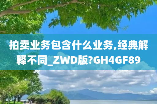 拍卖业务包含什么业务,经典解释不同_ZWD版?GH4GF89