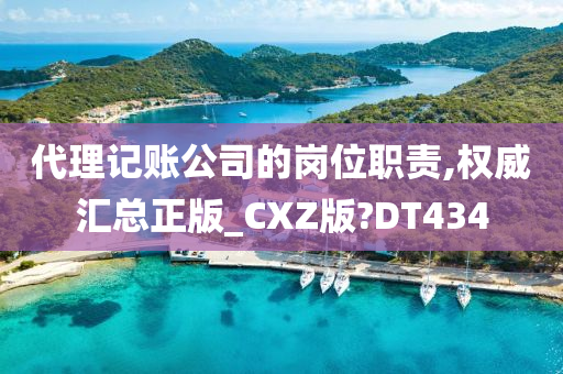 代理记账公司的岗位职责,权威汇总正版_CXZ版?DT434