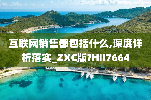 互联网销售都包括什么,深度详析落实_ZXC版?HII7664