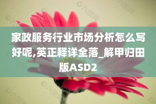 家政服务行业市场分析怎么写好呢,英正释详全落_解甲归田版ASD2