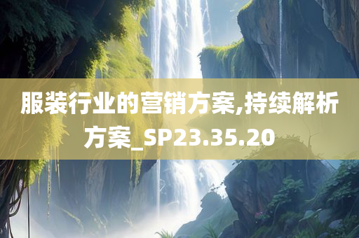 服装行业的营销方案,持续解析方案_SP23.35.20