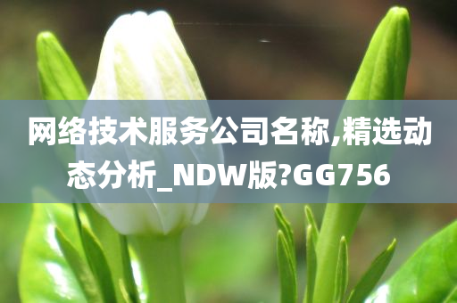 网络技术服务公司名称,精选动态分析_NDW版?GG756