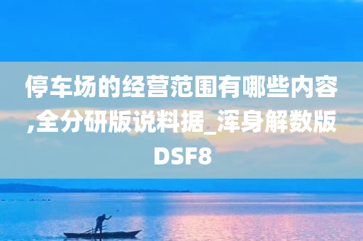 停车场的经营范围有哪些内容,全分研版说料据_浑身解数版DSF8