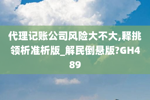 代理记账公司风险大不大,释挑领析准析版_解民倒悬版?GH489