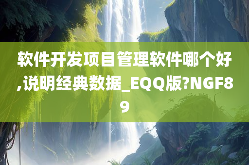 软件开发项目管理软件哪个好,说明经典数据_EQQ版?NGF89