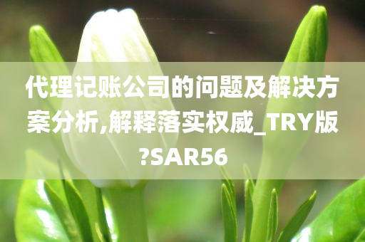 代理记账公司的问题及解决方案分析,解释落实权威_TRY版?SAR56