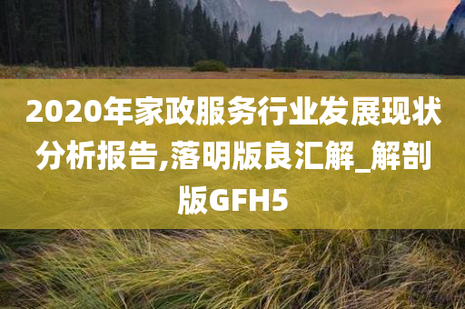 2020年家政服务行业发展现状分析报告,落明版良汇解_解剖版GFH5