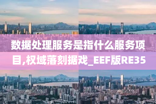 数据处理服务是指什么服务项目,权域落刻据戏_EEF版RE35